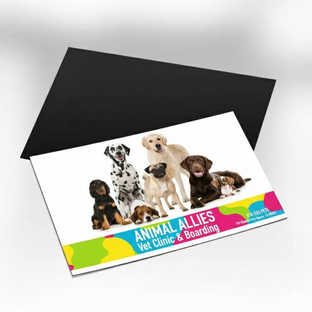 Magnet Business Cards