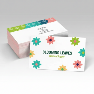 Standard Business Cards