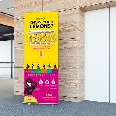 Banner Standard Retractable 33" x 81"